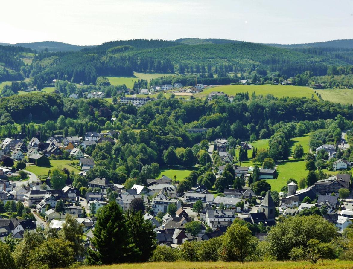 Fewo Blumes Bergfrieden Mit Meinecardplus Willingen  Eksteriør billede