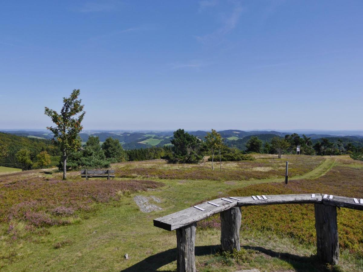 Fewo Blumes Bergfrieden Mit Meinecardplus Willingen  Eksteriør billede
