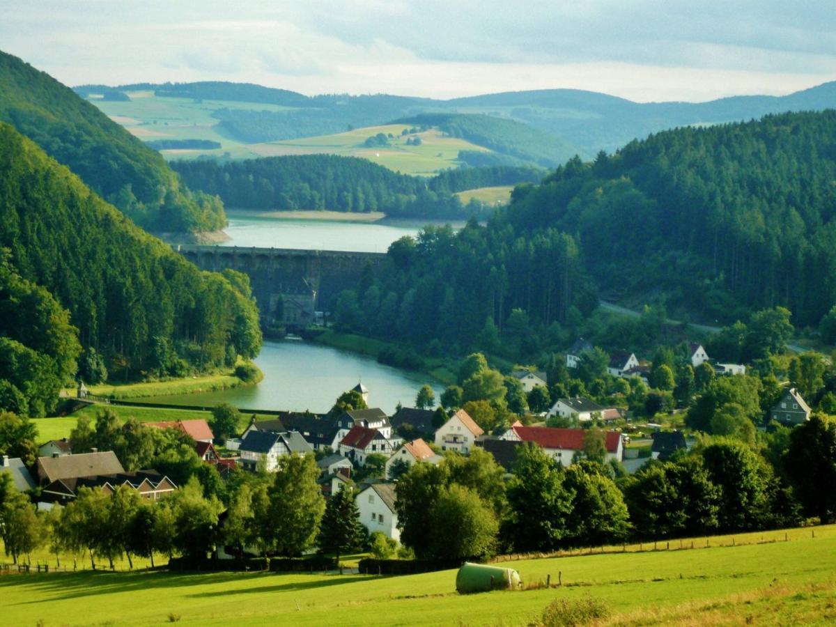 Fewo Blumes Bergfrieden Mit Meinecardplus Willingen  Eksteriør billede