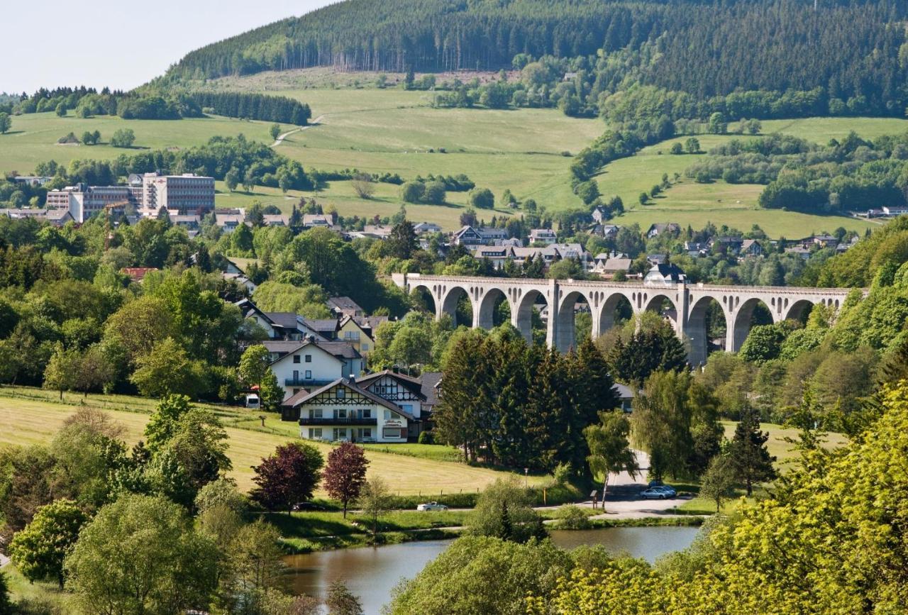 Fewo Blumes Bergfrieden Mit Meinecardplus Willingen  Eksteriør billede