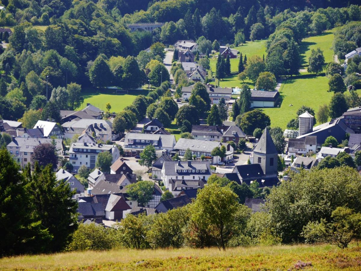 Fewo Blumes Bergfrieden Mit Meinecardplus Willingen  Eksteriør billede