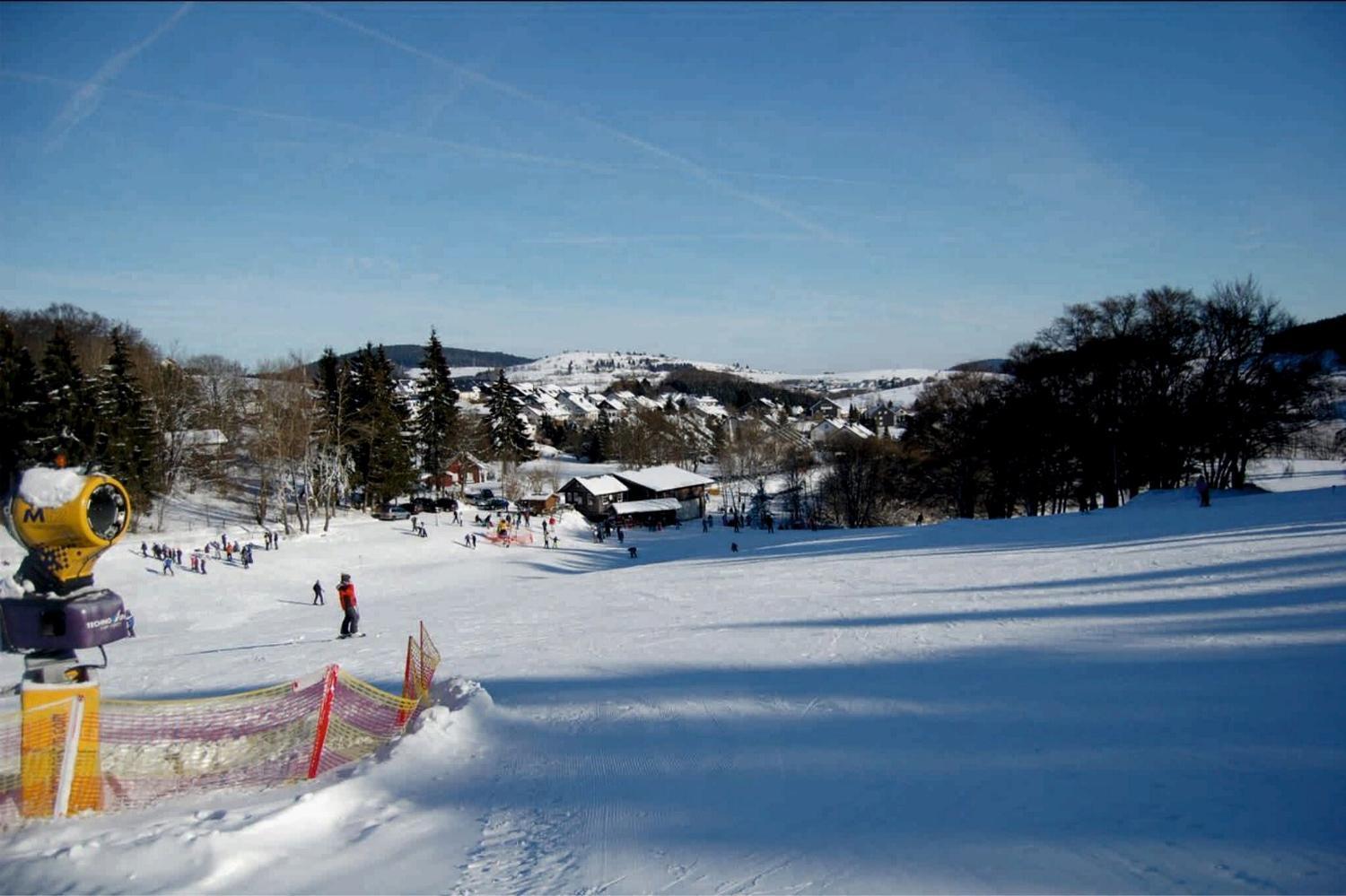 Fewo Blumes Bergfrieden Mit Meinecardplus Willingen  Eksteriør billede